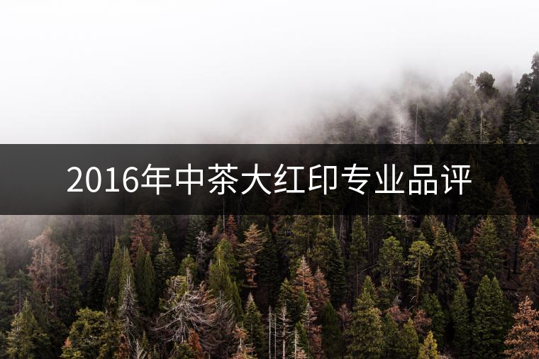 2016年中茶大紅印專業(yè)品評 2016年中茶大紅印專業(yè)品評