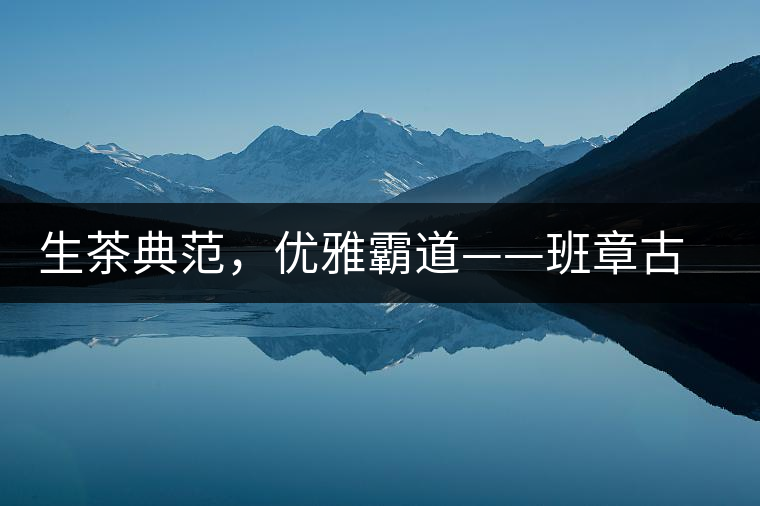 生茶典范，優(yōu)雅霸道——班章古韻