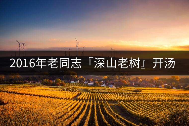 2016年老同志『深山老樹』開湯品鑒