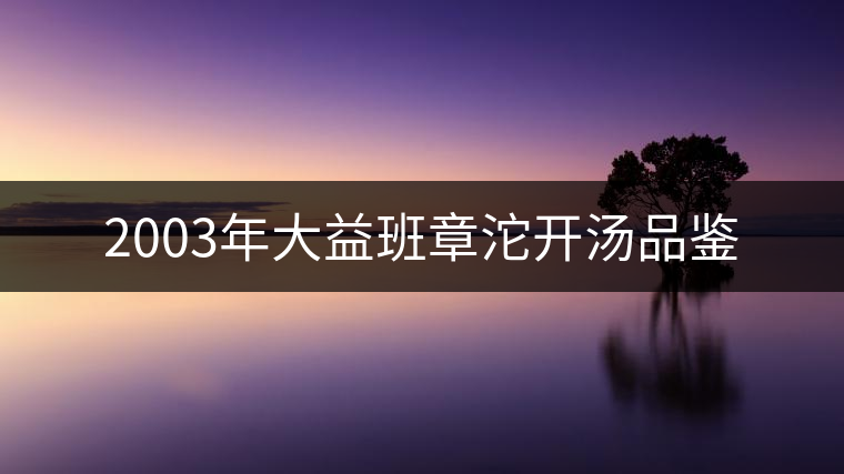 2003年大益班章沱開(kāi)湯品鑒 2003年大益班章沱開(kāi)湯品鑒