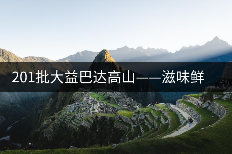 201批大益巴達高山——滋味鮮爽醇厚，回甘高而持久