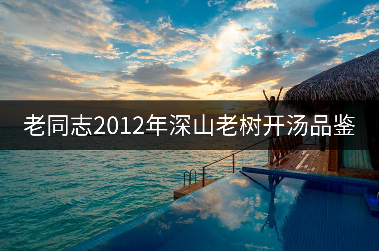 老同志2012年深山老樹開湯品鑒 老同志2012年深山老樹開湯品鑒