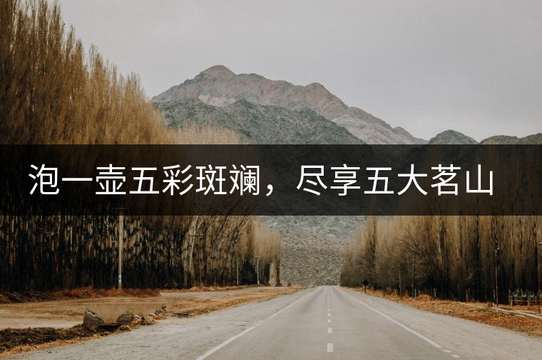 泡一壺五彩斑斕，盡享五大茗山之味