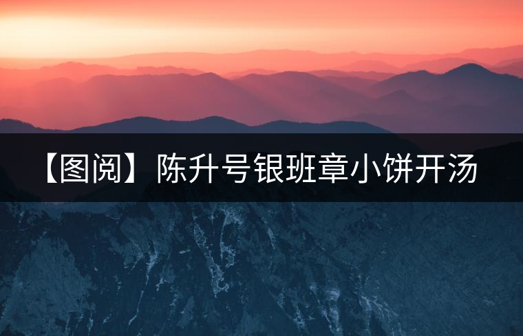 【圖閱】陳升號(hào)銀班章小餅開(kāi)湯品鑒 【圖閱】陳升號(hào)銀班章小餅開(kāi)湯品鑒