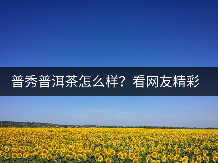 普秀普洱茶怎么樣？看網(wǎng)友精彩回答