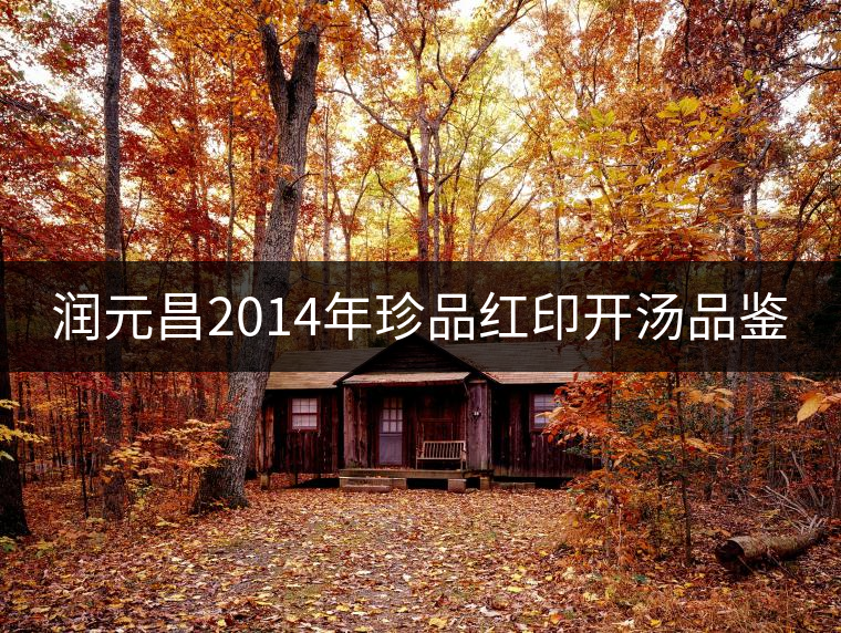 潤(rùn)元昌2014年珍品紅印開湯品鑒