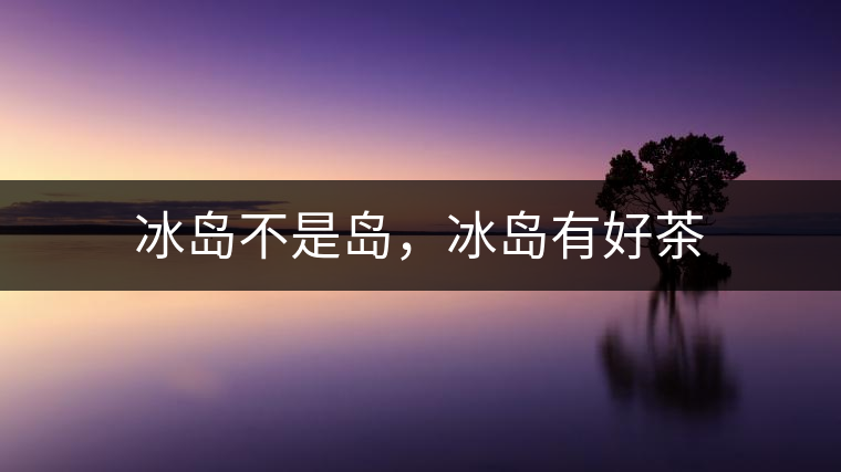 冰島不是島，冰島有好茶