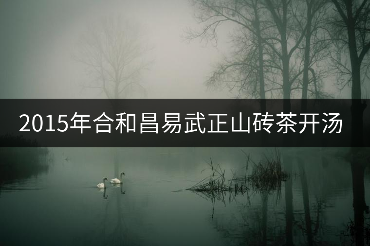 2015年合和昌易武正山磚茶開湯品鑒