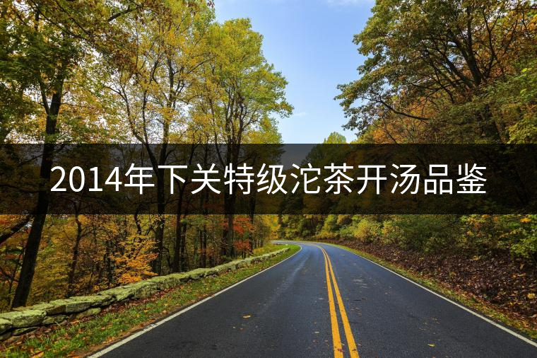 2014年下關(guān)特級(jí)沱茶開(kāi)湯品鑒