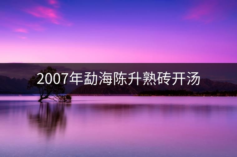 2007年勐海陳升熟磚開(kāi)湯