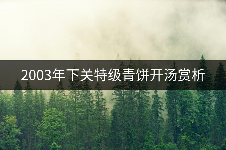 2003年下關(guān)特級(jí)青餅開湯賞析