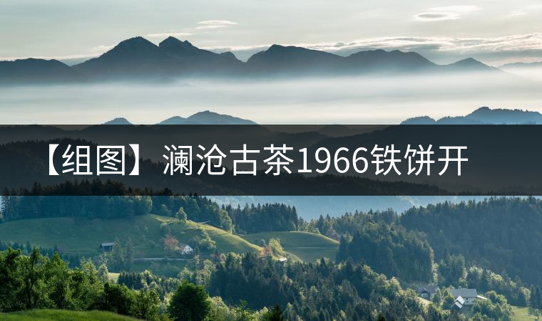 【組圖】瀾滄古茶1966鐵餅開湯