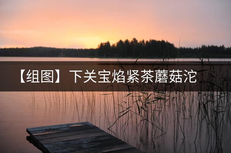 【組圖】下關(guān)寶焰緊茶蘑菇沱開(kāi)湯 【組圖】下關(guān)寶焰緊茶蘑菇沱開(kāi)湯