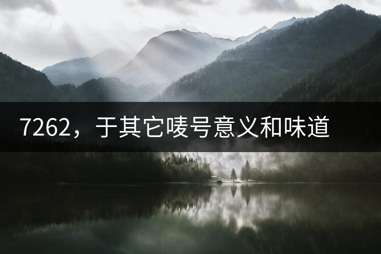 7262，于其它嘜號(hào)意義和味道都不一樣的大益高等級(jí)熟餅