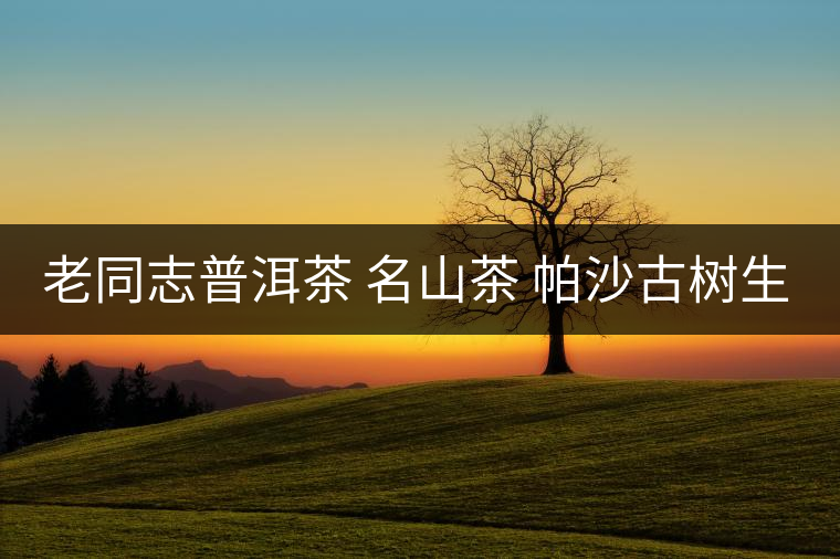 老同志普洱茶 名山茶 帕沙古樹生 2017年開湯 老同志普洱茶 名山茶 帕沙古樹生 2017年開湯