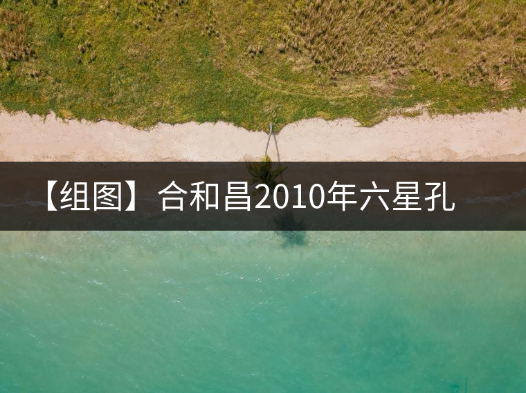 【組圖】合和昌2010年六星孔雀青餅開湯 【組圖】合和昌2010年六星孔雀青餅開湯