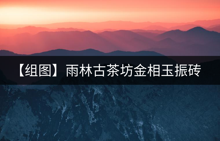 【組圖】雨林古茶坊金相玉振磚茶開湯