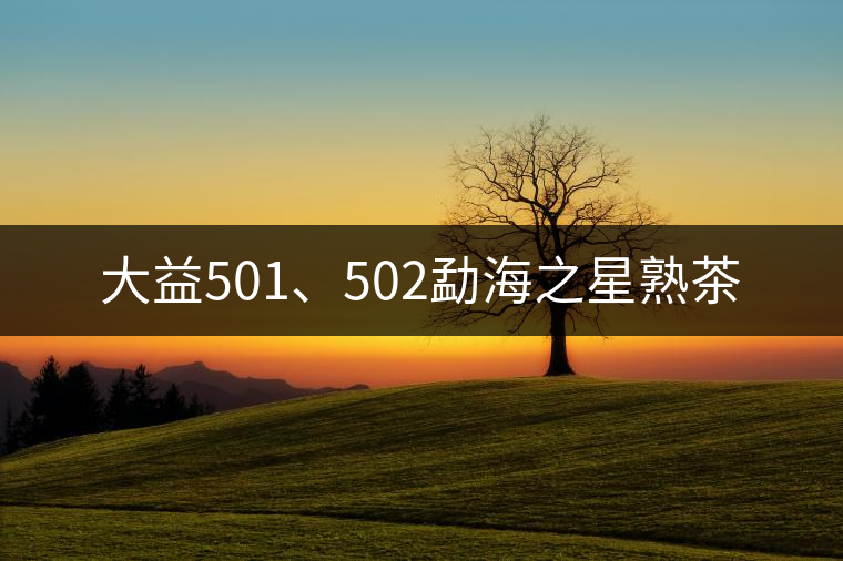 大益501、502勐海之星熟茶