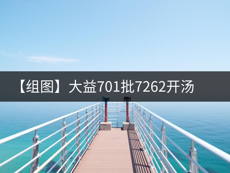 【組圖】大益701批7262開(kāi)湯品鑒