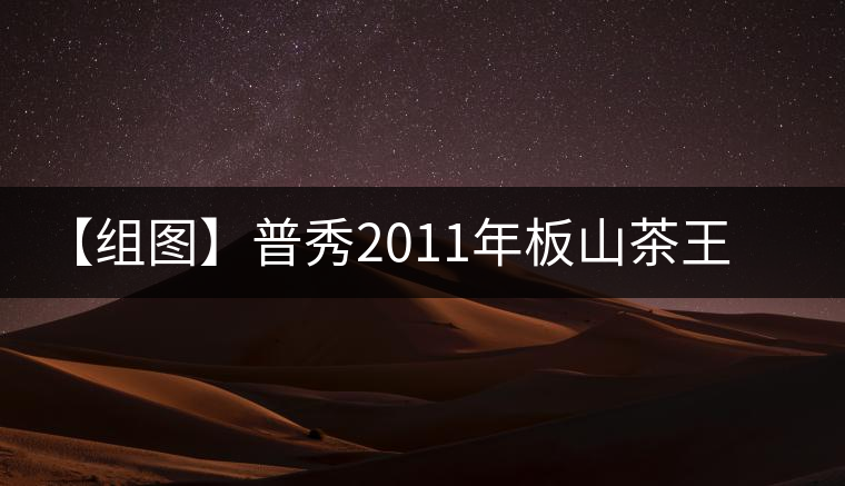 【組圖】普秀2011年板山茶王磚開湯