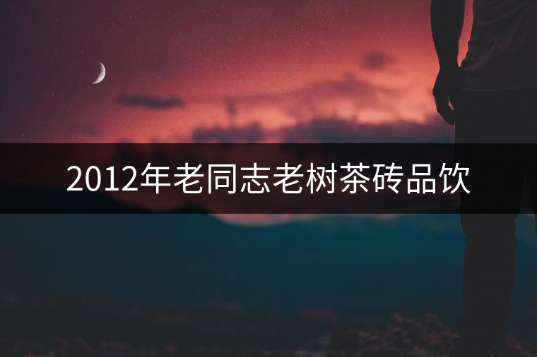 2012年老同志老樹(shù)茶磚品飲