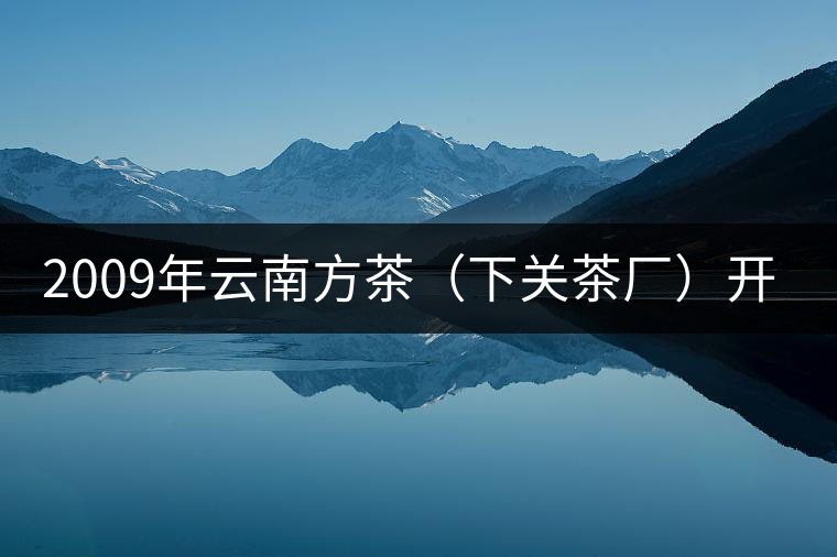 2009年云南方茶(下關茶廠)開湯 2009年云南方茶(下關茶廠)開湯