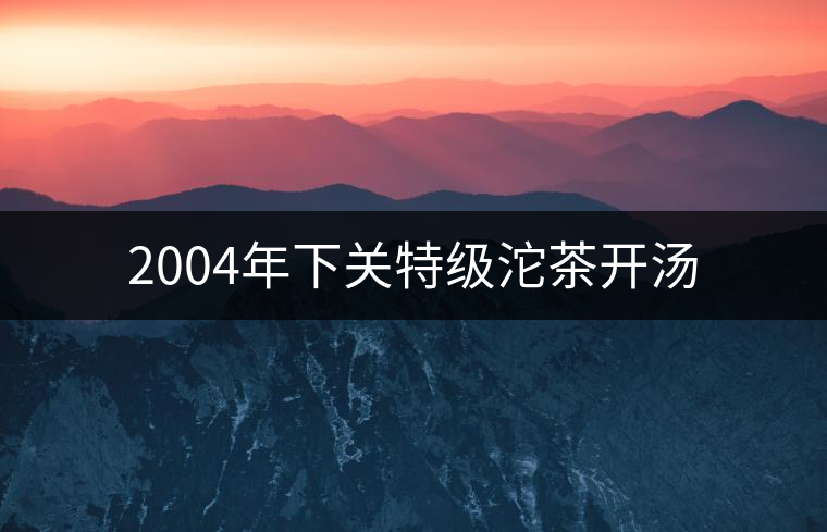 2004年下關(guān)特級(jí)沱茶開湯 2004年下關(guān)特級(jí)沱茶開湯