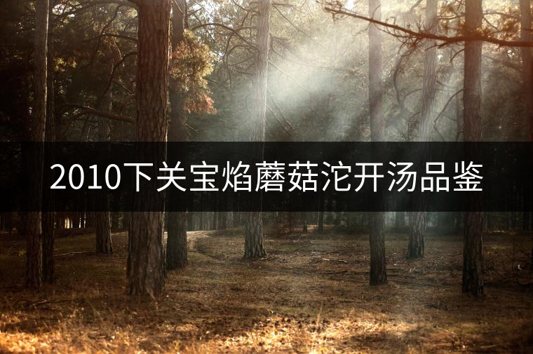 2010下關(guān)寶焰蘑菇沱開湯品鑒 2010下關(guān)寶焰蘑菇沱開湯品鑒