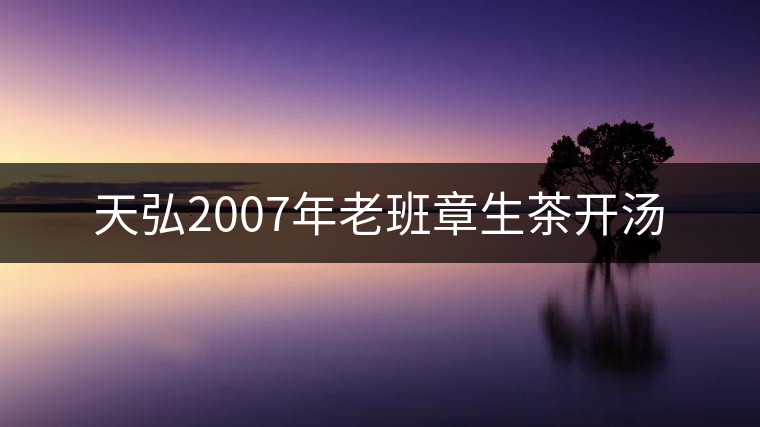 天弘2007年老班章生茶開湯 天弘2007年老班章生茶開湯
