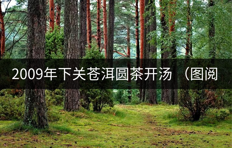 2009年下關(guān)蒼洱圓茶開(kāi)湯 （圖閱）