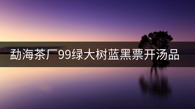 勐海茶廠99綠大樹藍(lán)黑票開(kāi)湯品鑒