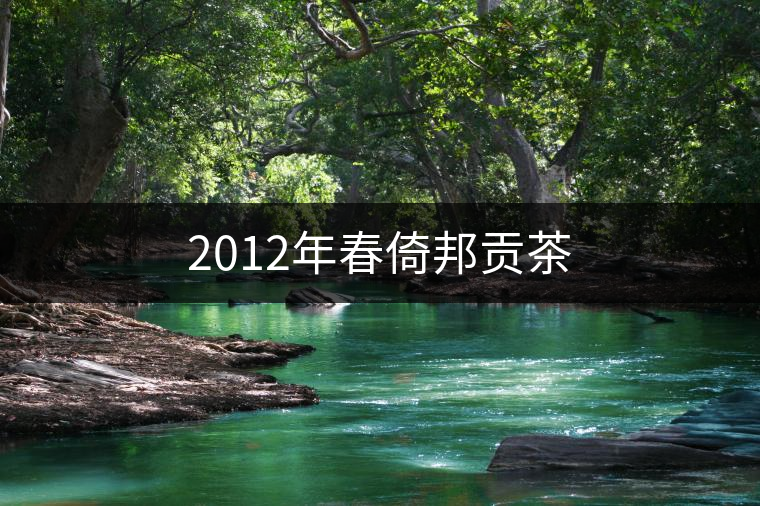 2012年春倚邦貢茶 2012年春倚邦貢茶