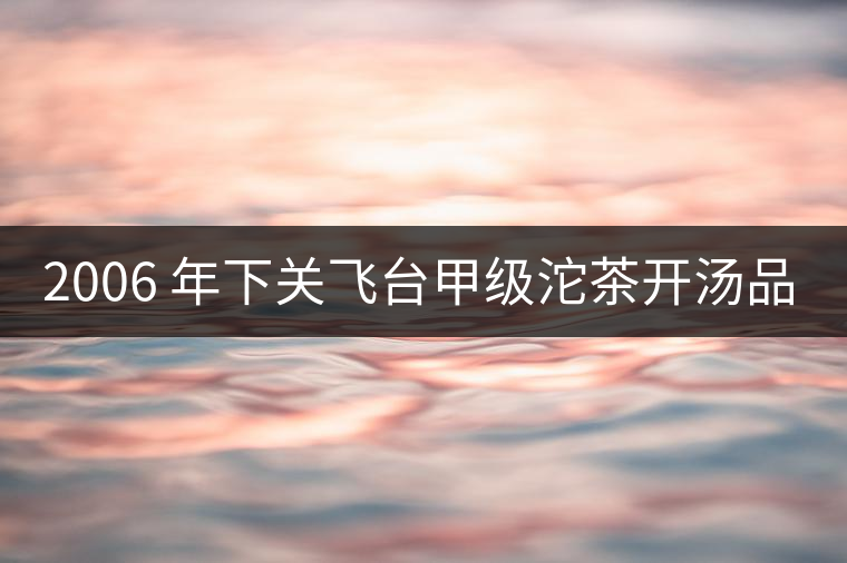 2006 年下關(guān)飛臺(tái)甲級沱茶開湯品鑒 2006 年下關(guān)飛臺(tái)甲級沱茶開湯品鑒