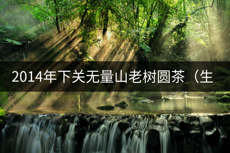 2014年下關無量山老樹圓茶（生茶）開湯