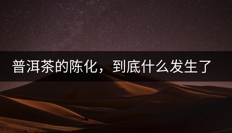 普洱茶的陳化，到底什么發(fā)生了哪些變化？