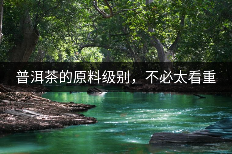 普洱茶的原料級別，不必太看重