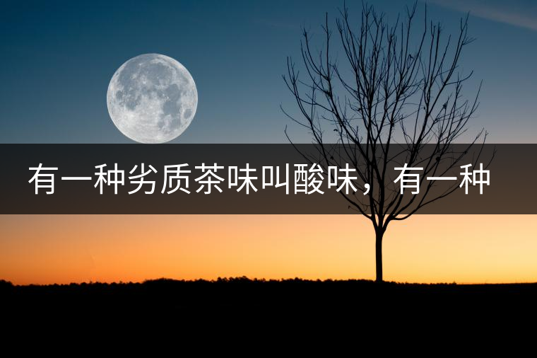 有一種劣質(zhì)茶味叫酸味，有一種優(yōu)質(zhì)茶味也叫酸味