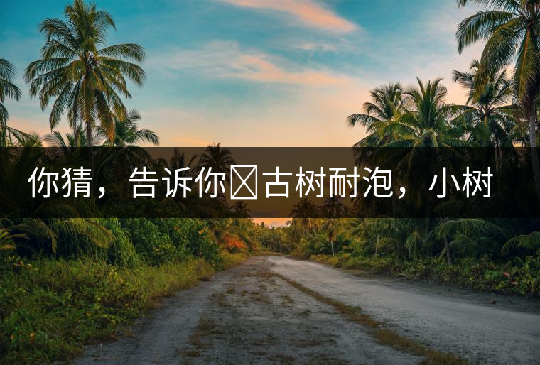 你猜，告訴你?古樹耐泡，小樹、臺(tái)地不耐泡都是什么心理？