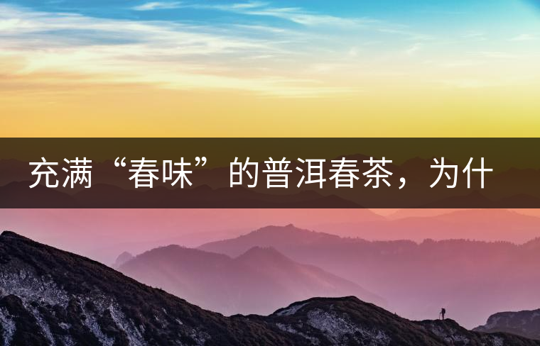 充滿“春味”的普洱春茶，為什么值得期待？