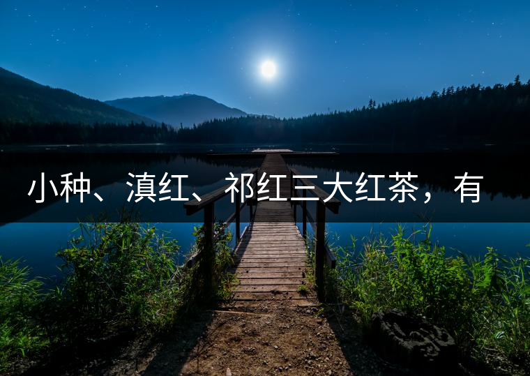 小種、滇紅、祁紅三大紅茶，有何區(qū)別
