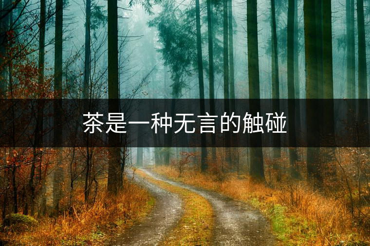 茶是一種無(wú)言的觸碰 茶是一種無(wú)言的觸碰
