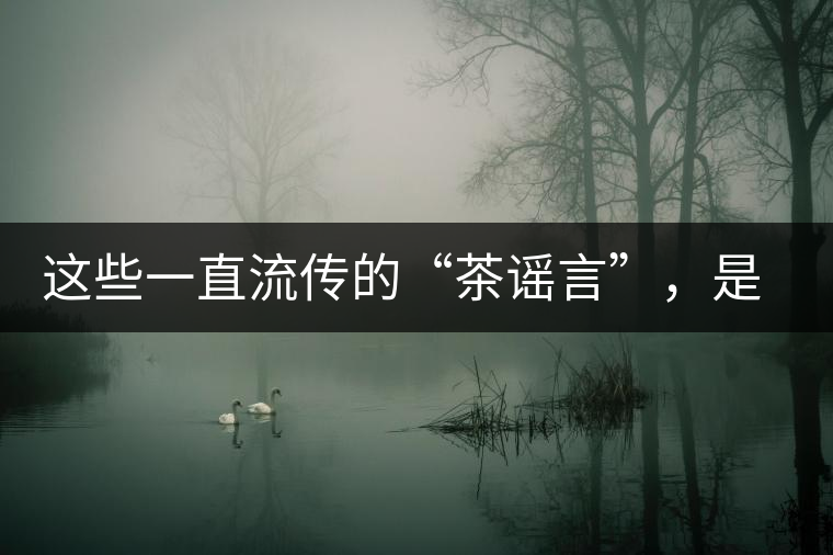 這些一直流傳的“茶謠言”，是時候知道真相了