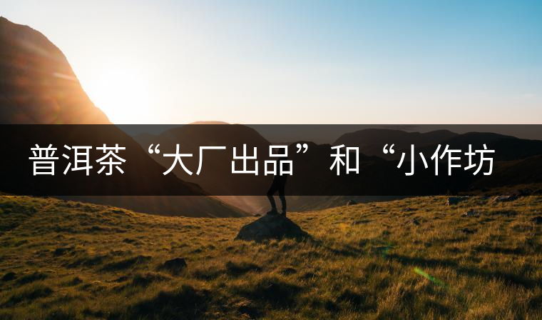 普洱茶“大廠出品”和“小作坊”，哪一個(gè)更值得購(gòu)買(mǎi)？
