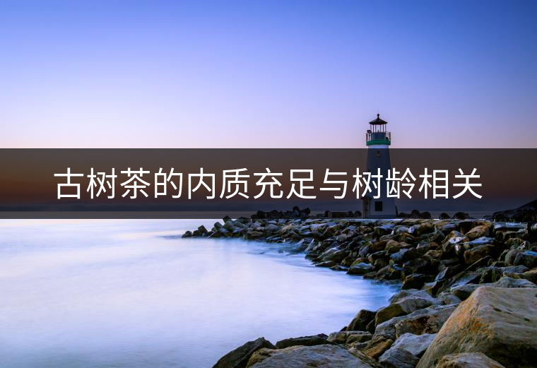 古樹茶的內(nèi)質(zhì)充足與樹齡相關