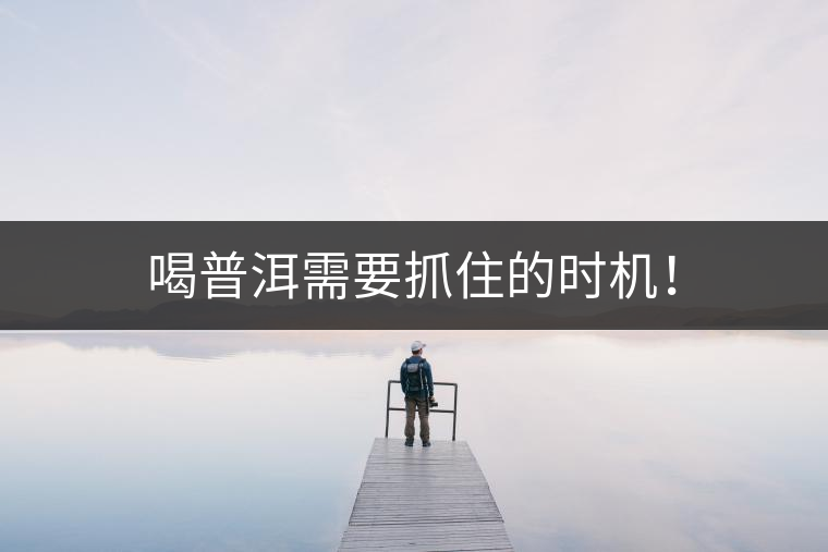 喝普洱需要抓住的時機(jī)！