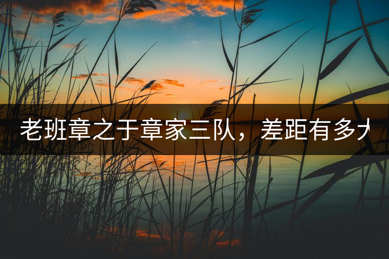 老班章之于章家三隊，差距有多大？