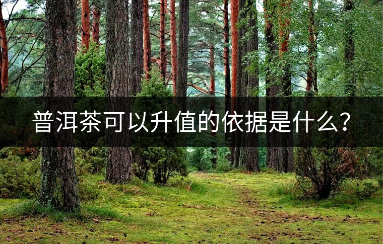 普洱茶可以升值的依據(jù)是什么？