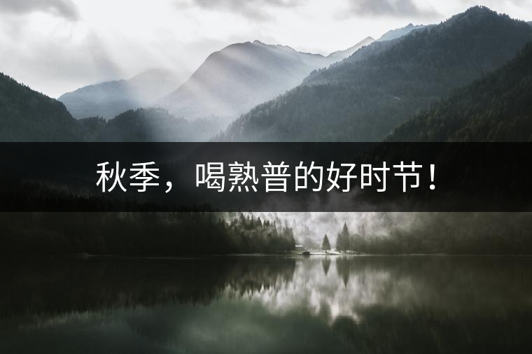 秋季，喝熟普的好時節(jié)！