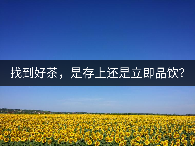 找到好茶，是存上還是立即品飲？