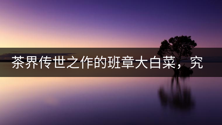 茶界傳世之作的班章大白菜，究竟有什么大來頭？